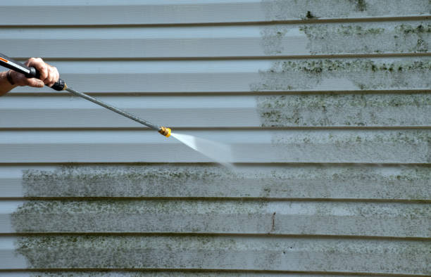 Best Sidewalk Pressure Washing  in Iron Mountain, MI