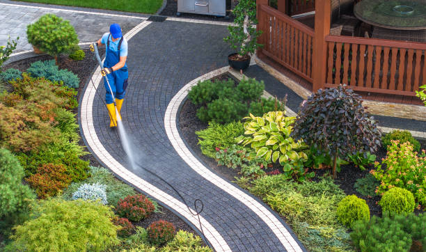 Best Roof Pressure Washing  in Iron Mountain, MI